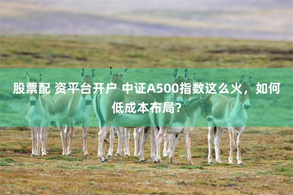 股票配 资平台开户 中证A500指数这么火，如何低成本布局？
