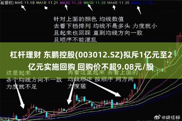 杠杆理财 东鹏控股(003012.SZ)拟斥1亿元至2亿元实施回购 回购价不超9.08元/股