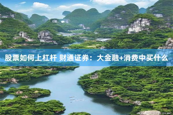 股票如何上杠杆 财通证券：大金融+消费中买什么