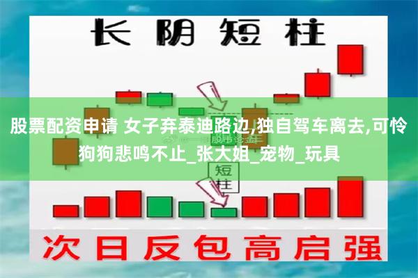 股票配资申请 女子弃泰迪路边,独自驾车离去,可怜狗狗悲鸣不止_张大姐_宠物_玩具