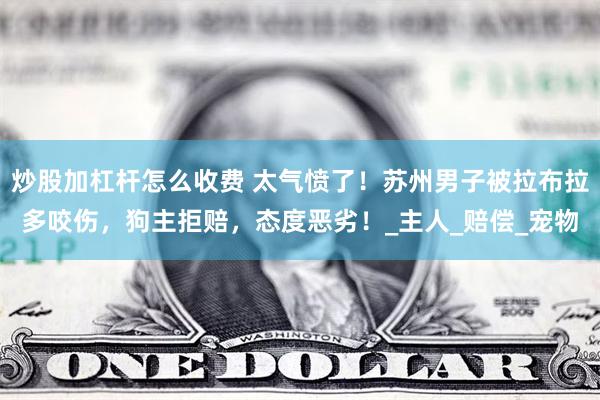 炒股加杠杆怎么收费 太气愤了！苏州男子被拉布拉多咬伤，狗主拒赔，态度恶劣！_主人_赔偿_宠物