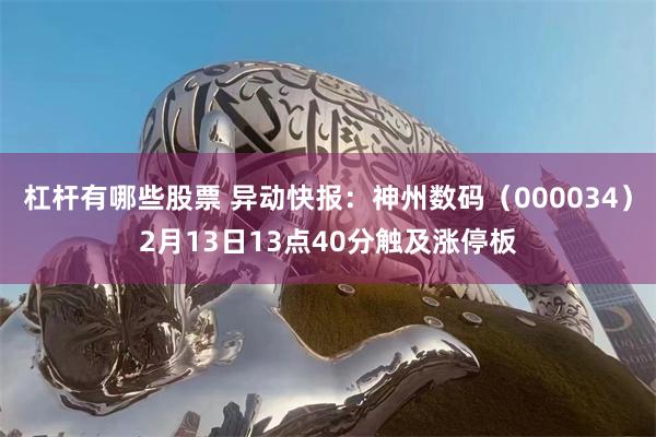 杠杆有哪些股票 异动快报：神州数码（000034）2月13日13点40分触及涨停板