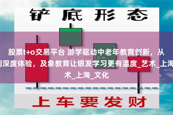 股票t+o交易平台 游学驱动中老年教育创新，从兴趣到深度体验，及象教育让银发学习更有温度_艺术_上海_文化
