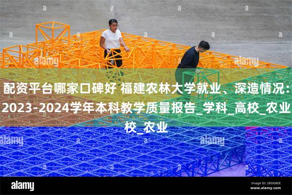 配资平台哪家口碑好 福建农林大学就业、深造情况：2023-2024学年本科教学质量报告_学科_高校_农业