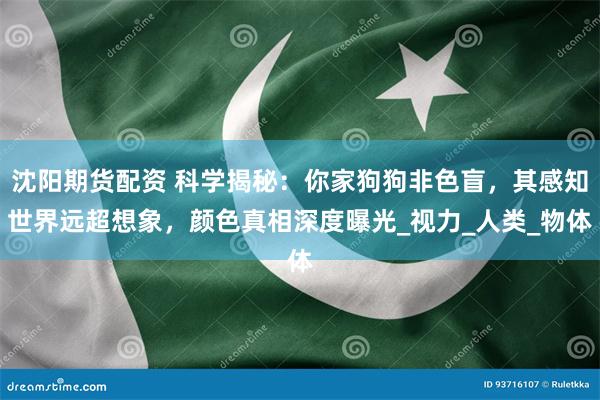 沈阳期货配资 科学揭秘：你家狗狗非色盲，其感知世界远超想象，颜色真相深度曝光_视力_人类_物体
