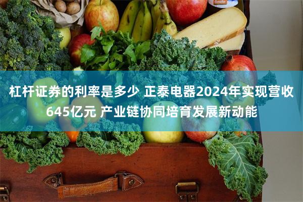 杠杆证券的利率是多少 正泰电器2024年实现营收645亿元 产业链协同培育发展新动能