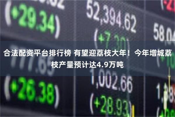 合法配资平台排行榜 有望迎荔枝大年！今年增城荔枝产量预计达4.9万吨