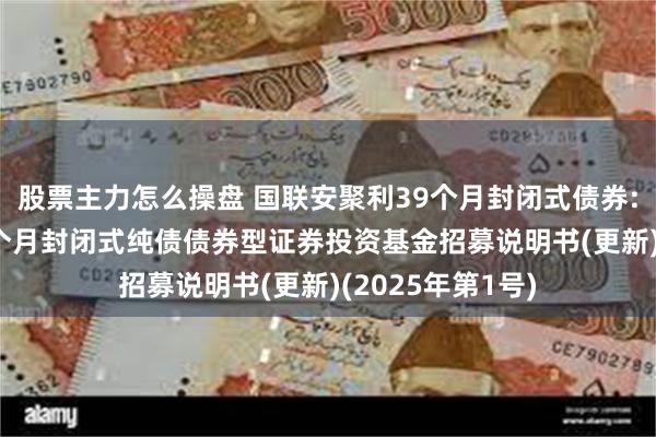 股票主力怎么操盘 国联安聚利39个月封闭式债券: 国联安聚利39个月封闭式纯债债券型证券投资基金招募说明书(更新)(2025年第1号)