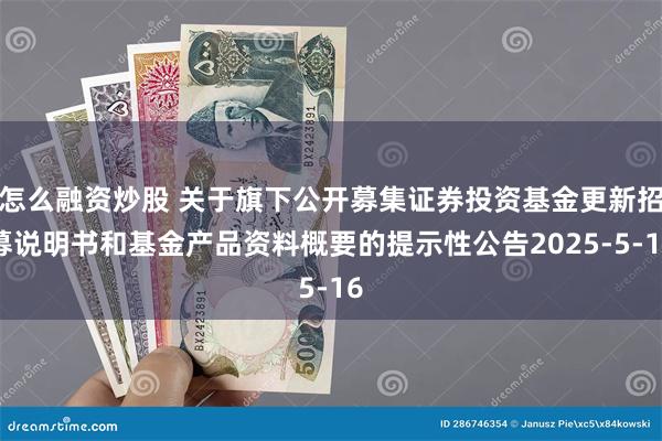 怎么融资炒股 关于旗下公开募集证券投资基金更新招募说明书和基金产品资料概要的提示性公告2025-5-16