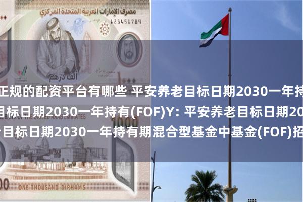 正规的配资平台有哪些 平安养老目标日期2030一年持有(FOF)A,平安养老目标日期2030一年持有(FOF)Y: 平安养老目标日期2030一年持有期混合型基金中基金(FOF)招募说明书(更新)