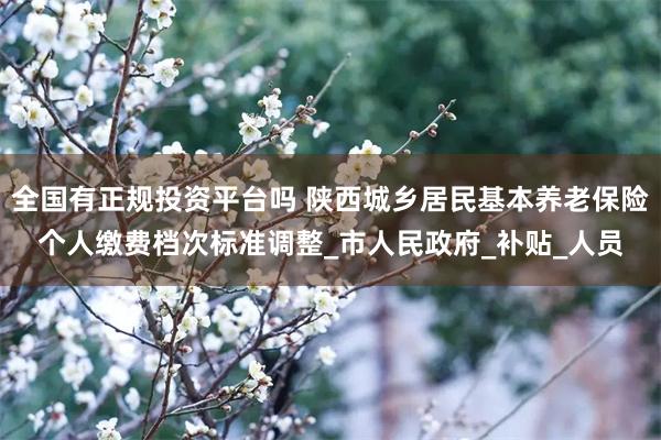 全国有正规投资平台吗 陕西城乡居民基本养老保险个人缴费档次标准调整_市人民政府_补贴_人员