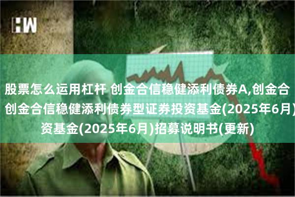 股票怎么运用杠杆 创金合信稳健添利债券A,创金合信稳健添利债券C: 创金合信稳健添利债券型证券投资基金(2025年6月)招募说明书(更新)