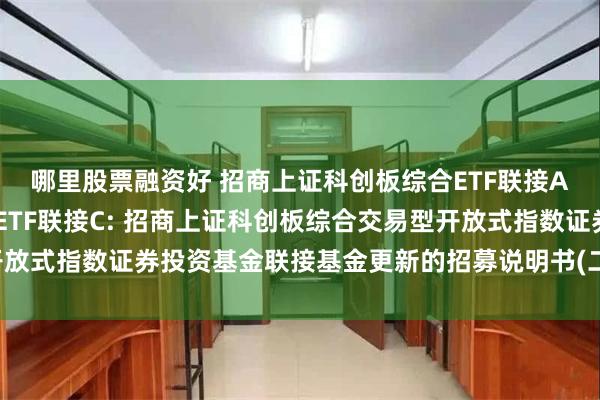 哪里股票融资好 招商上证科创板综合ETF联接A,招商上证科创板综合ETF联接C: 招商上证科创板综合交易型开放式指数证券投资基金联接基金更新的招募说明书(二零二五年第二号)
