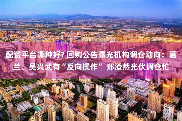 配资平台哪种好? 回购公告曝光机构调仓动向：葛兰、吴兴武有“反向操作” 郑澄然光伏调仓忙