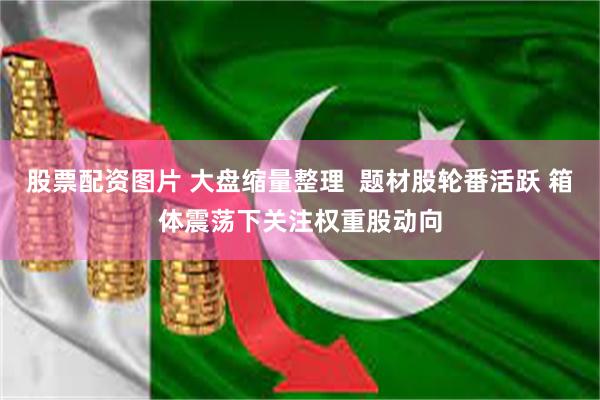 股票配资图片 大盘缩量整理  题材股轮番活跃 箱体震荡下关注权重股动向