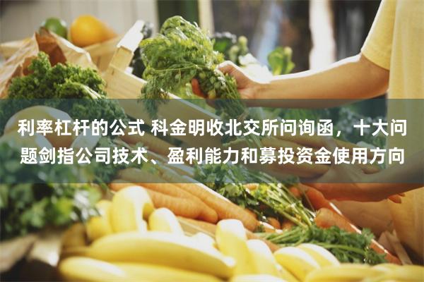 利率杠杆的公式 科金明收北交所问询函，十大问题剑指公司技术、盈利能力和募投资金使用方向