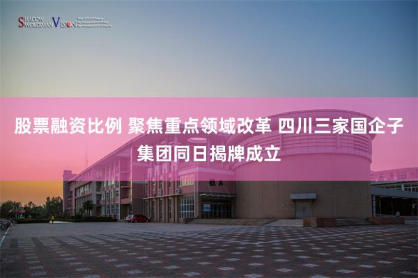 股票融资比例 聚焦重点领域改革 四川三家国企子集团同日揭牌成立