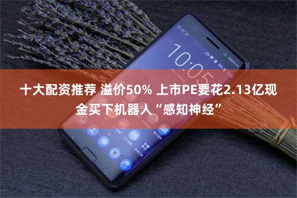 十大配资推荐 溢价50% 上市PE要花2.13亿现金买下机器人“感知神经”