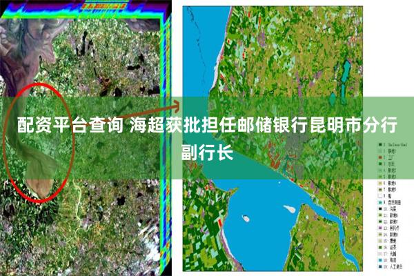 配资平台查询 海超获批担任邮储银行昆明市分行副行长