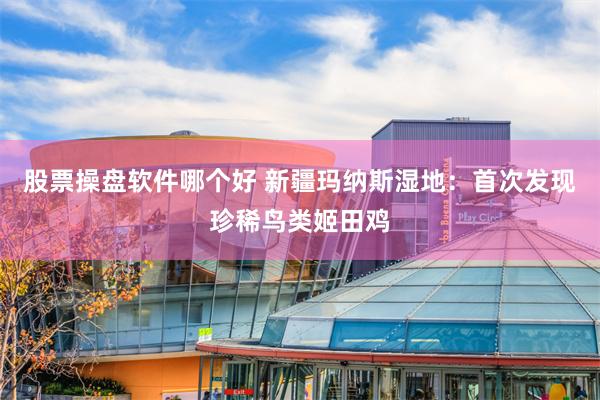 股票操盘软件哪个好 新疆玛纳斯湿地：首次发现珍稀鸟类姬田鸡
