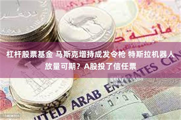 杠杆股票基金 马斯克增持成发令枪 特斯拉机器人放量可期？A股投了信任票
