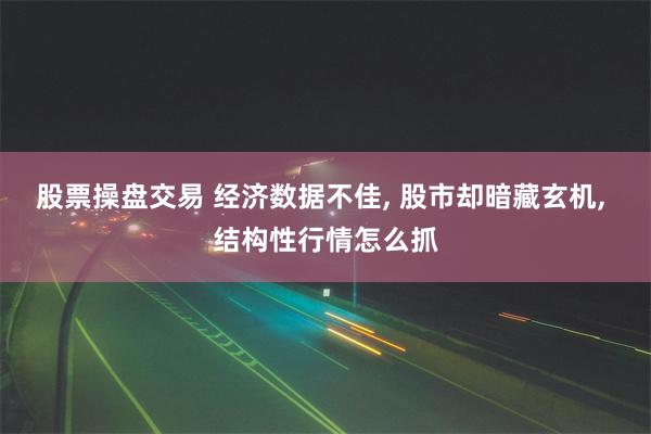 股票操盘交易 经济数据不佳, 股市却暗藏玄机, 结构性行情怎么抓
